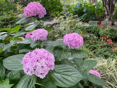 -常州古运河南大街文化旅游区-人民公园