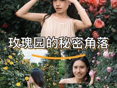 -庾园
