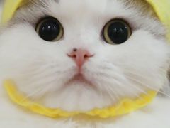 -牧歌KTV(观前店)