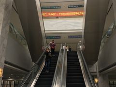 -上海市第六人民医院(临港院区)