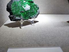 -陕西自然博物馆