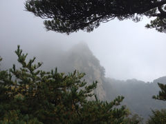 iphone_upload_pic-王顺山国家森林公园