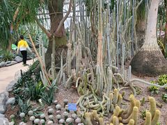 -南山植物园