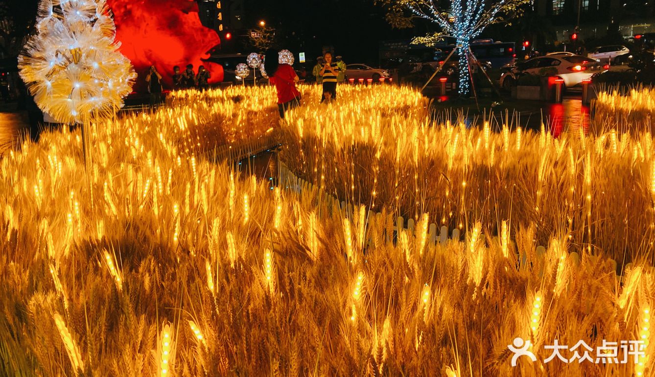 湖滨的麦子黄了!