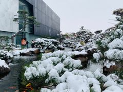 -罗红摄影艺术馆