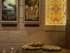 -逃脱反斗城沉浸剧情密室(北京路店)