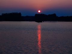 -大兴滨河森林公园