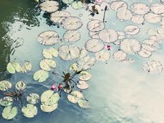 -白沙门生态公园
