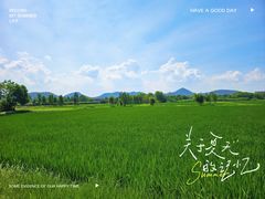 -良渚古城遗址公园