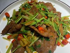 -雲蜀龙阁·金牌水煮鱼(方庄店)