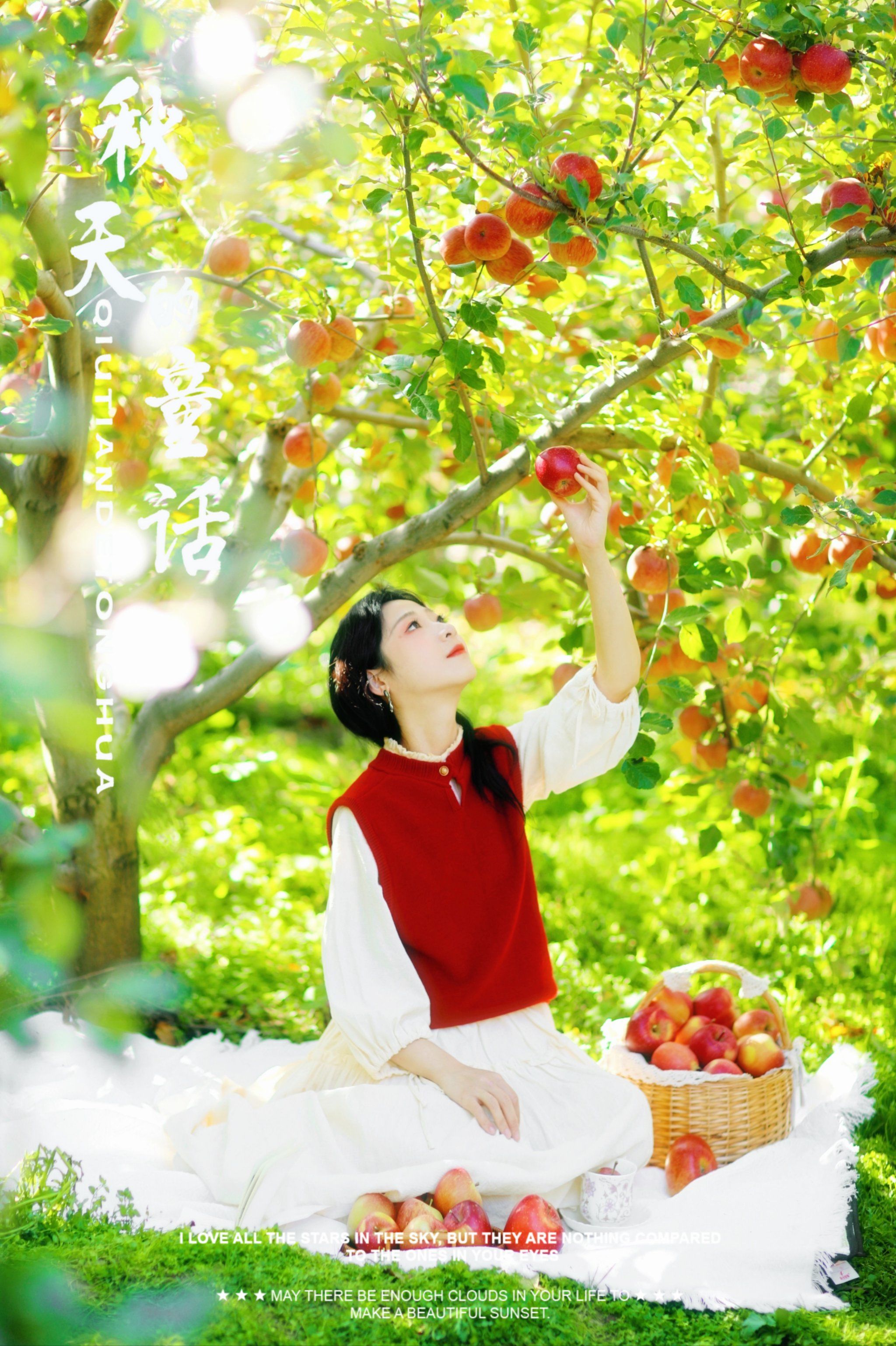 🍎果园日记:亲手摘苹果的乐趣🍎