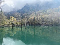 -叠溪松坪沟景区