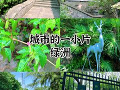 -北极阁公园