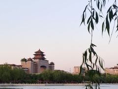-莲花池公园