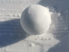 -绿野森林乐园冰雪季