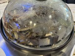 -半岛听涛蒸汽海鲜自助(K11店)
