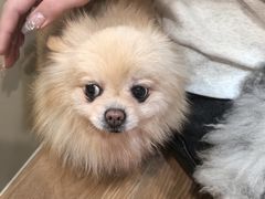 -和它·交个朋友·狗咖猫咖(爱琴海店)