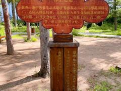 -长春公园(普阳街道)