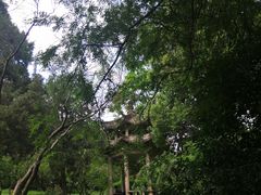 -无锡梅园公园