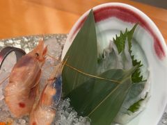 -菊上尊品料理(蚌埠银泰店)