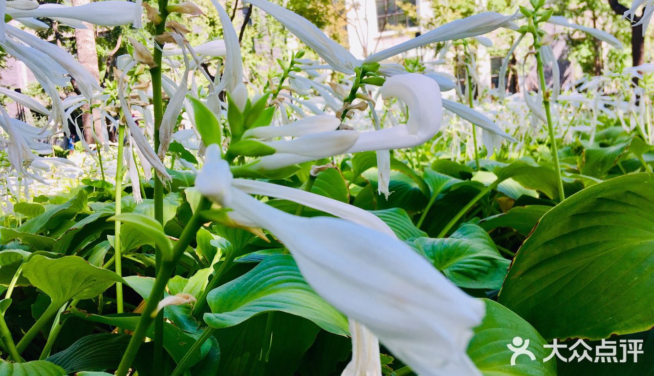 31-20摄氏度，吹着风温度还超级舒服