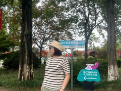 -黄海国家森林公园