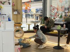 -COLOR PETS 撸猫馆·购猫·猫咖(长风大悦城店)