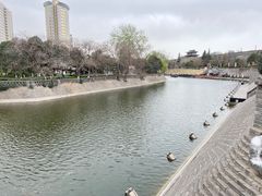 -西安城墙·碑林历史文化景区