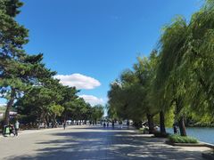 -长春市南湖公园