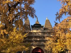 -北京石刻艺术博物馆(五塔寺)
