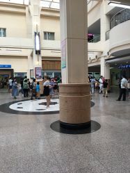 -上海交通大学医学院附属上海儿童医学中心(陆家嘴总院区)