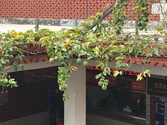 -福建泉州仙公山风景名胜区