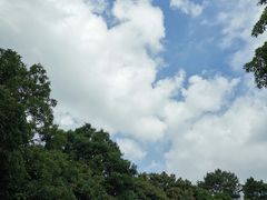 -广州市白云山风景名胜区