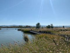 -野鸭湖国家湿地公园