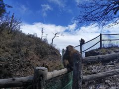 -峨眉山风景名胜区