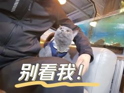 -青木造型HAIR·あおき髪を刈る潮人店