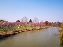 -上海海湾国家森林公园