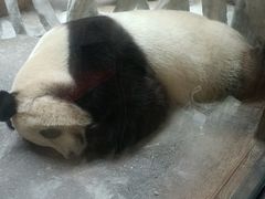 -宁波野生动物园