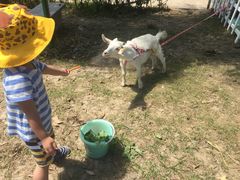 -上海滴水湖皇冠假日酒店