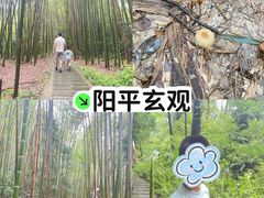 -海窝子古镇