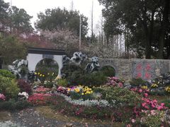 -苏州上方山国家森林公园
