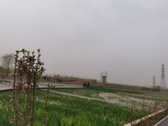 -永定河休闲森林公园