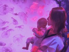 -沈阳海洋探索中心