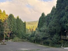 -武陵山森林公园