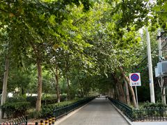 -汉唐守艺人·河北面馆(民心河店)