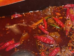 -五里关火锅(牛市口店)