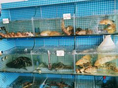 水产区-叶姐海鲜(棋子湾店)