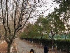 -华东政法大学(松江校区)
