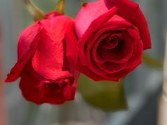 -蔓兰家的四季S0餐厅·融合菜(当代MOMA店)