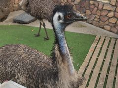 -J Create城市露营咖啡·简餐·宠物(上海动物园店)